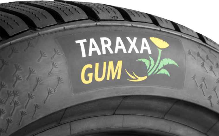 A pitypangból készült gumiabroncs a jövő innovációja
